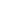 batteryIcon
